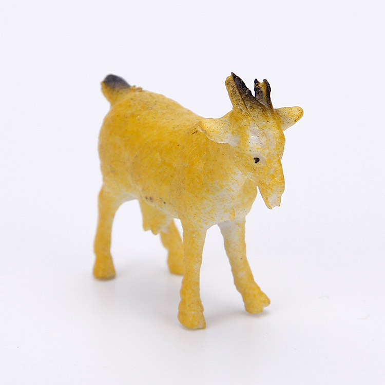 Plastic realistic animal model