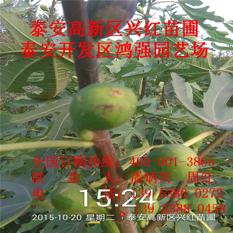 2015_10_20_15_24_33