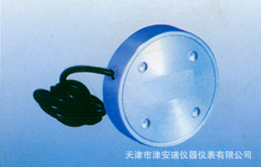 TXR-2021型振弦式土压力计 二次密封振弦式土压力计 西安土压力计