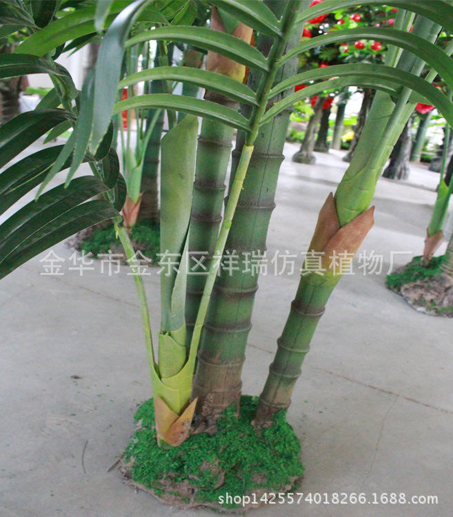 XRS-085四杆椰子叶树15叶170厘米树干