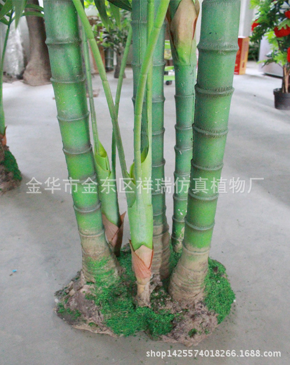 XRS-087六杆椰子叶树26叶230厘米树杆