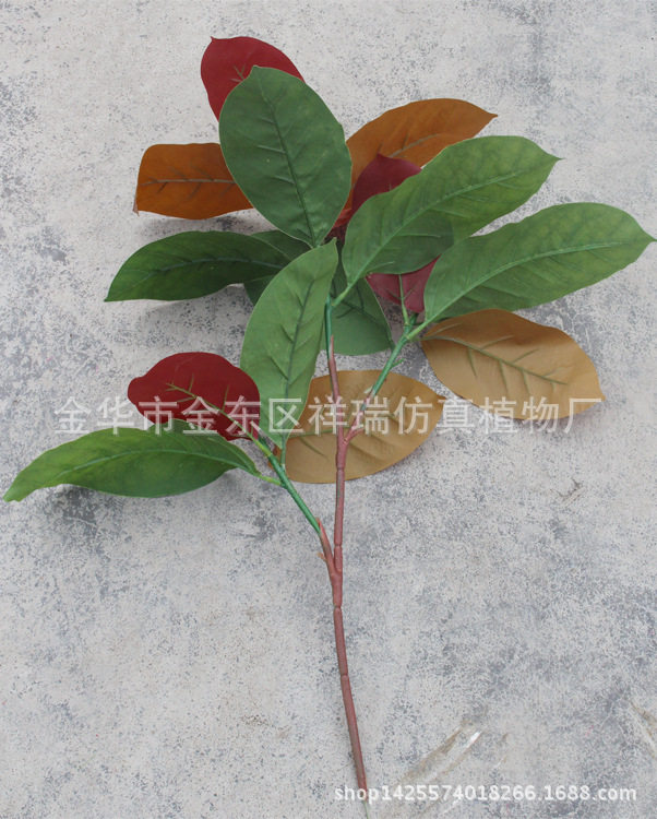 XRB-103秋高榕叶3叉枝14叶58CM背面