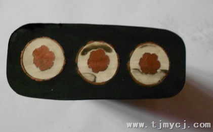 JHSB3*35扁形电缆 JHSB3*50扁形防水电缆