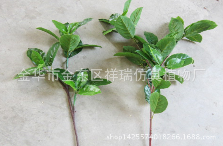 XRB-095梨叶三叉五叉