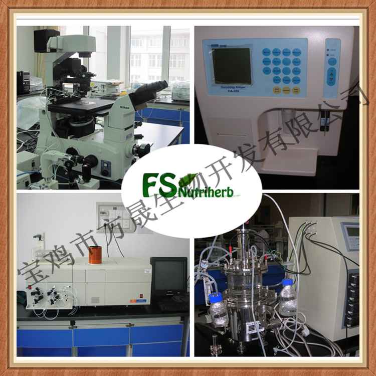 2056545324_1267102660[1]