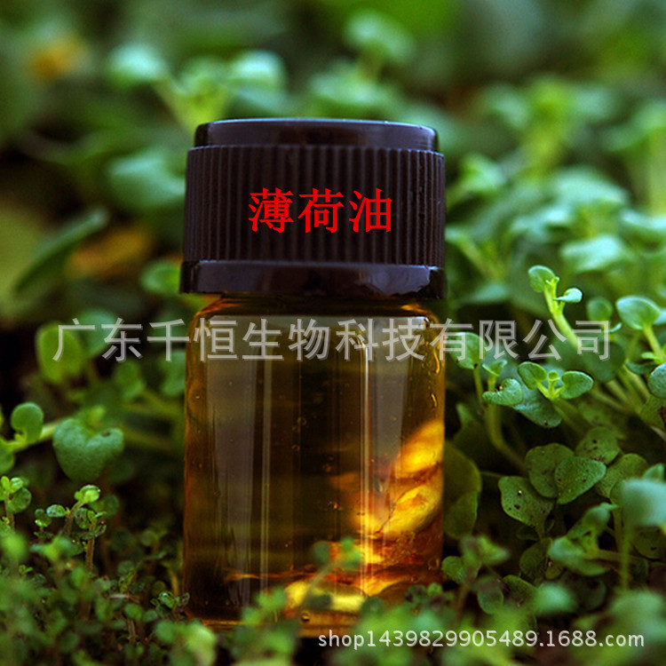 厂家直销食品级薄荷精油 薄荷油 质量保障 量大从优