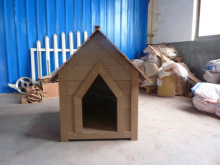 SֱNľ܌ﹷC ľhͺϰ  ذ