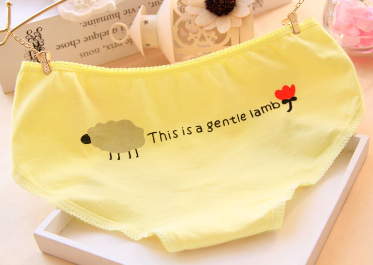 Slip jeunesse en coton - Ref 652977 Image 13