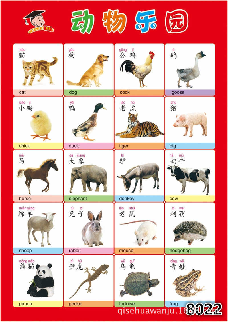 识物扫一扫看图,识物扫一扫识别,识物扫一扫(第12页)_大山谷图库