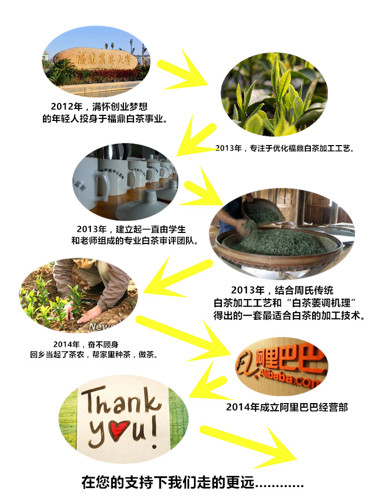 大学生创业简介