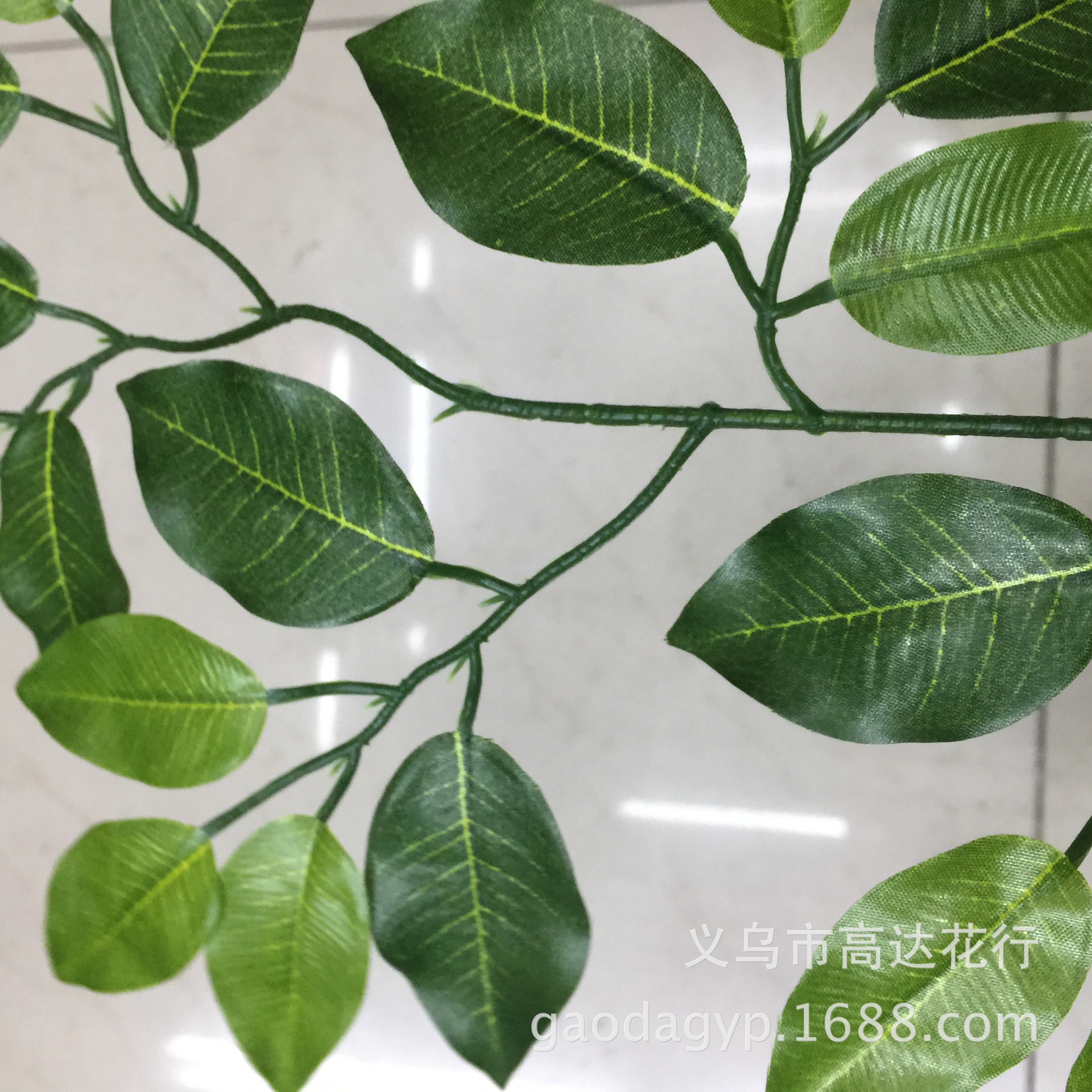 E8B282949EAF0B391F2F386B194E77