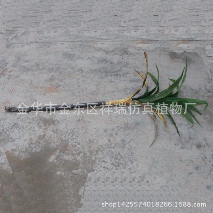 XRB-090单杆甘蔗叶15叶230厘米