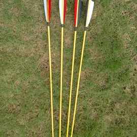 厂家供应6061铝管箭 金色箭杆 可换头 真羽 初学者用射箭