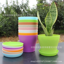 ���l��ɫ���⻨�� ���������������ϻ��� �ʺ�ߙn���ϻ���