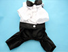 Suit littering male pet cat Teddy puppy clothes clothing wedding photo fake two-piece shirt suit