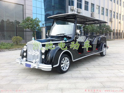 新款豪华电动看房车 带DVD视频播放和倒车影像