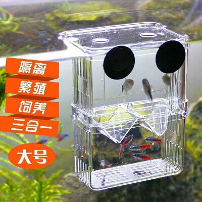 幼鱼孵化盒隔离盒斗鱼盒隔离网挂式孵化器母鱼产卵繁殖盒