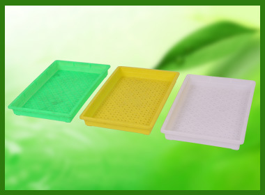 超市酒店专用育苗盘