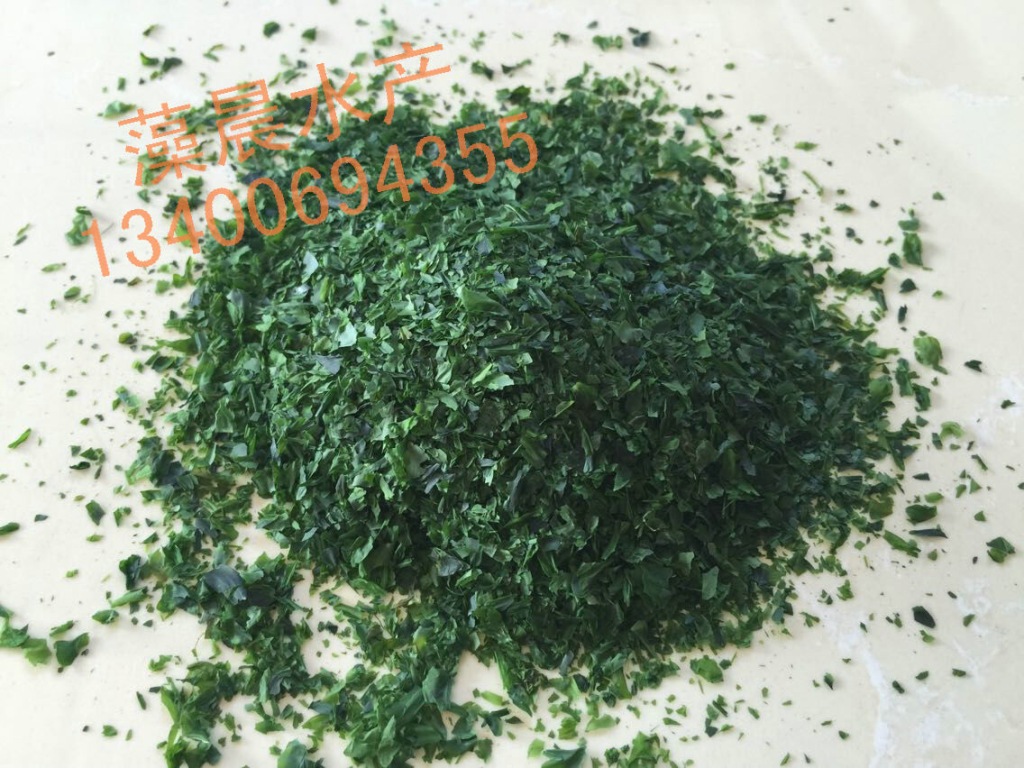 供应海苔、海苔粉 海苔寿司、海青菜，QS认证、品质保证厂家直销