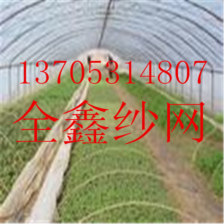 2212241007_1142107759.search_副