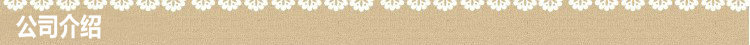 公司介绍