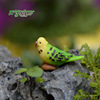 Moss micro -landscape landscaping material decorative ornaments gorgeous parrot DIY material