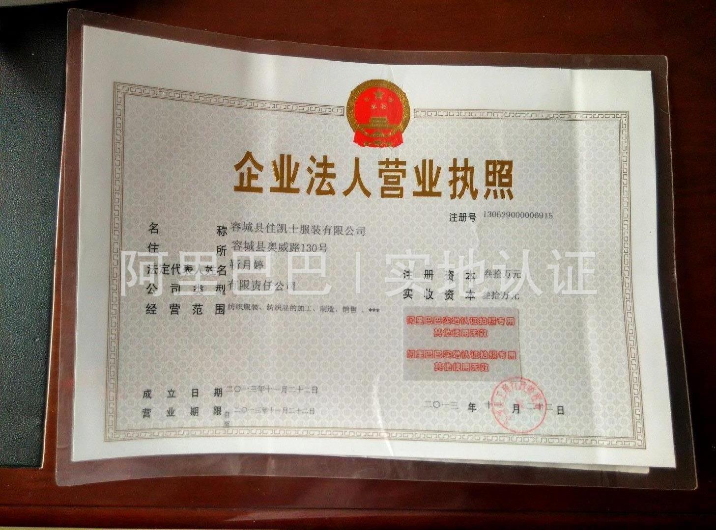 執照