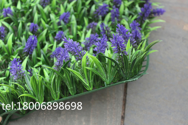 IMG_4871_副本_副本_副本_副本