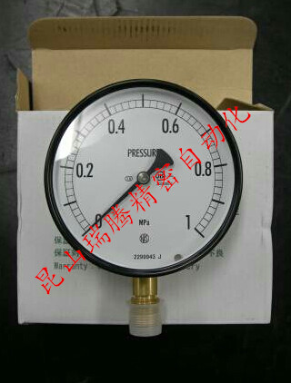 AE10-131-1MPa 普通形连成计 NaganoKeiki 长野计器 NKS