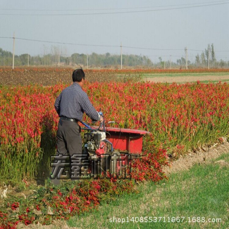 QQ圖片20150823073658