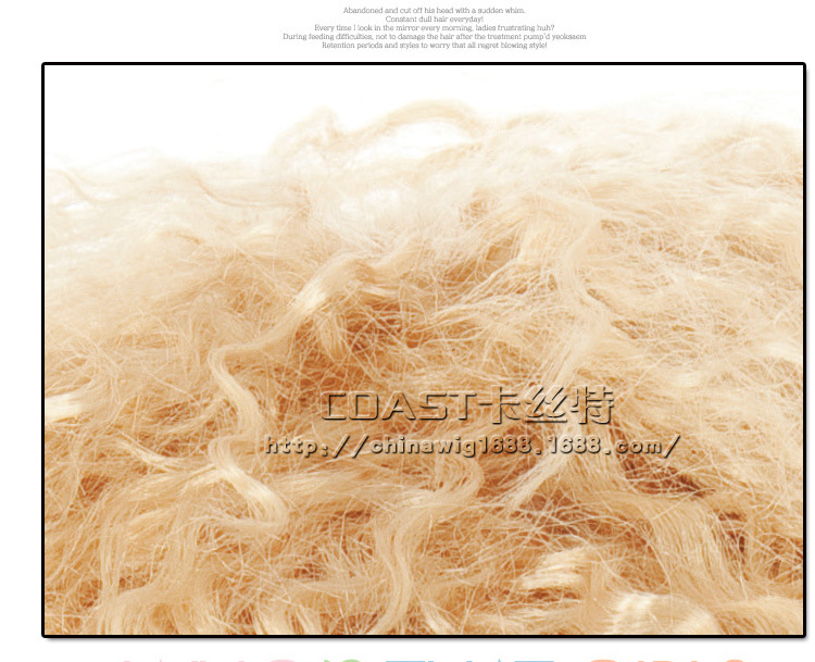 Perruque Les cheveux longs - Ref 2610686 Image 9