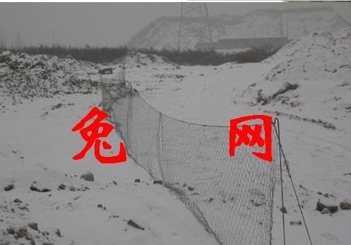00058db2b1tb162xx___2-item_pic