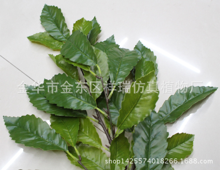 XRB-119栎树叶四叉枝31叶7