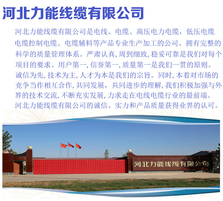 公司介绍具体的副本副本
