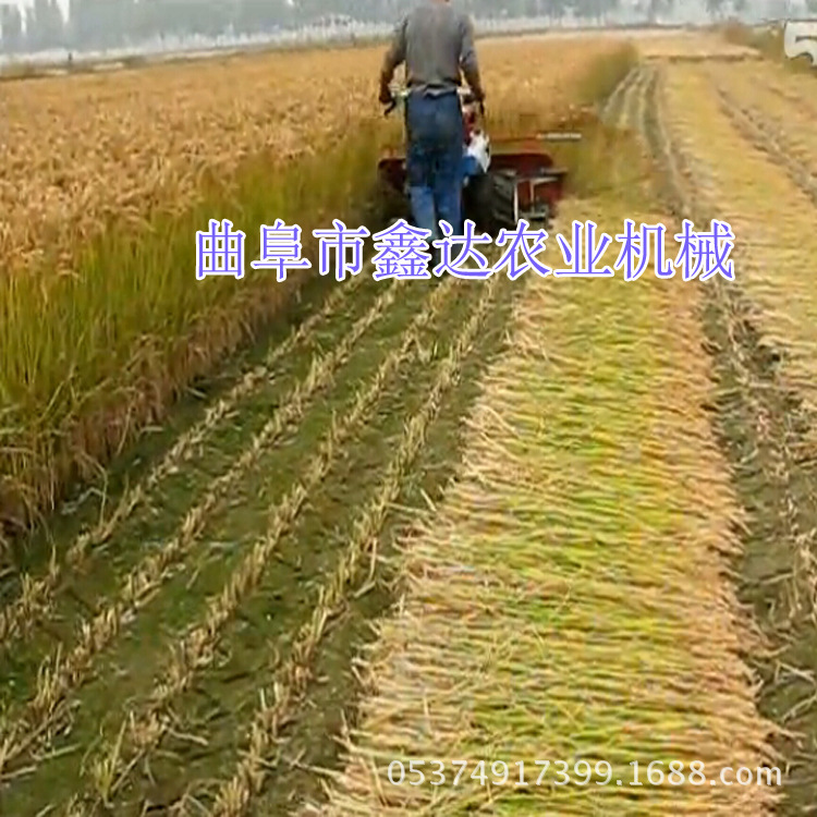 性能好割晒机 小麦割晒机 小型小麦割晒机
