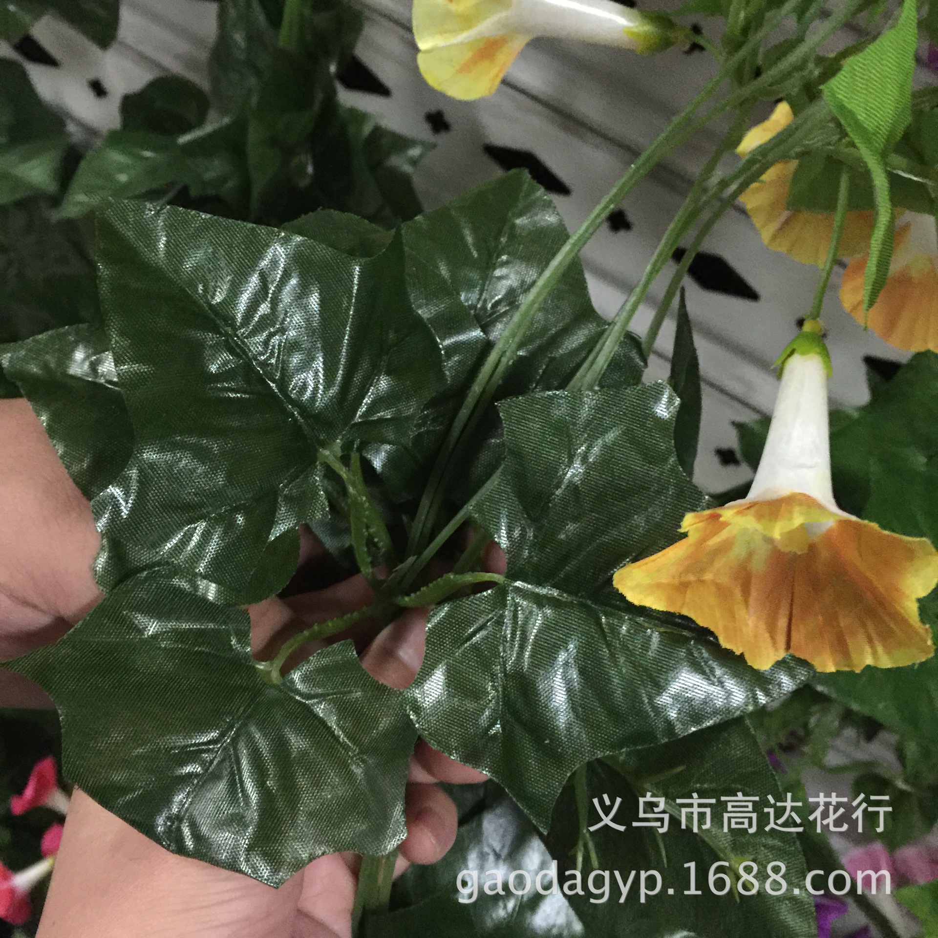 18号大牵牛花花条