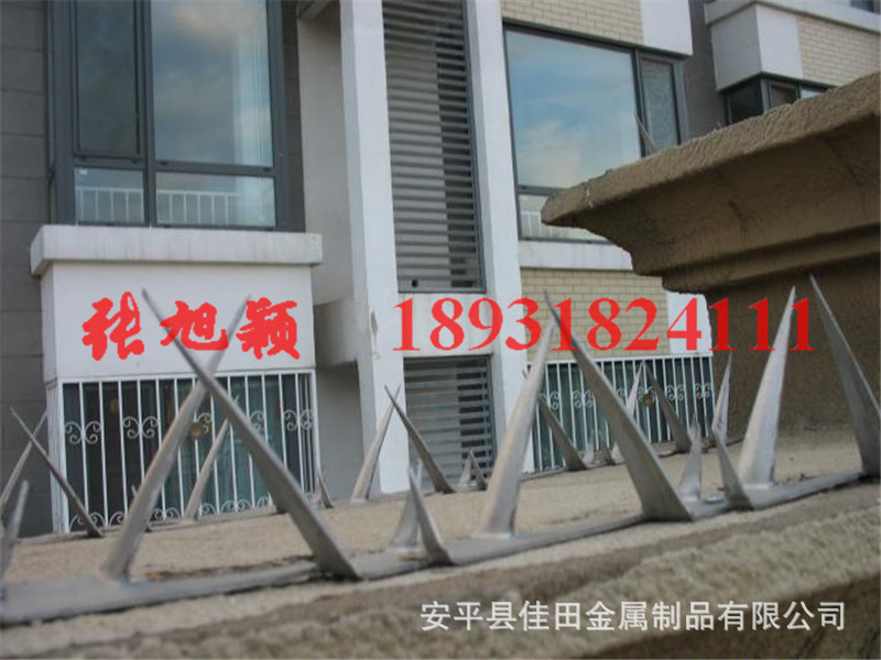 18931824111ciding17