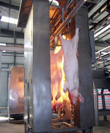 猪燎毛炉,猪毛燎烧炉,生猪烫毛池,毛猪摇烫机,生猪屠宰设备