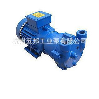 供应水环真空泵  2BV2070水环真空泵   SKA系列水环真空泵