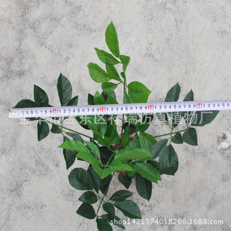 XRS-087五叉富贵叶95叶立体宽