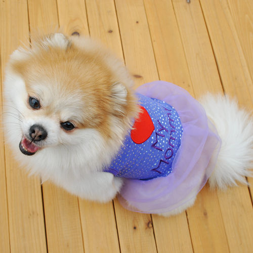 Trendy Pet Outfit