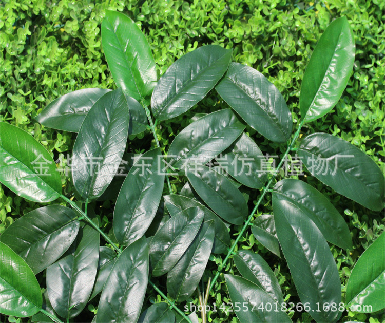 五叉核桃叶平面枝45叶70厘米叶