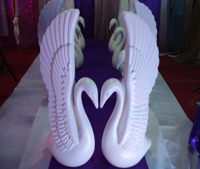 Swan Figure 1