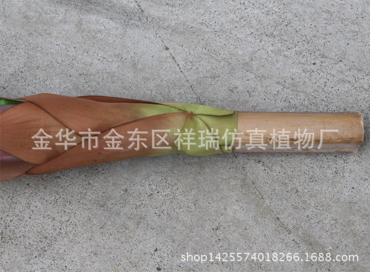 XRS-103盆栽象腿蕉叶大28叶105厘米4