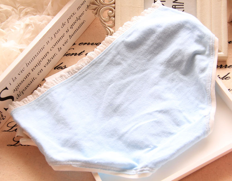 Slip 3127A Lace en coton - Ref 651561 Image 19