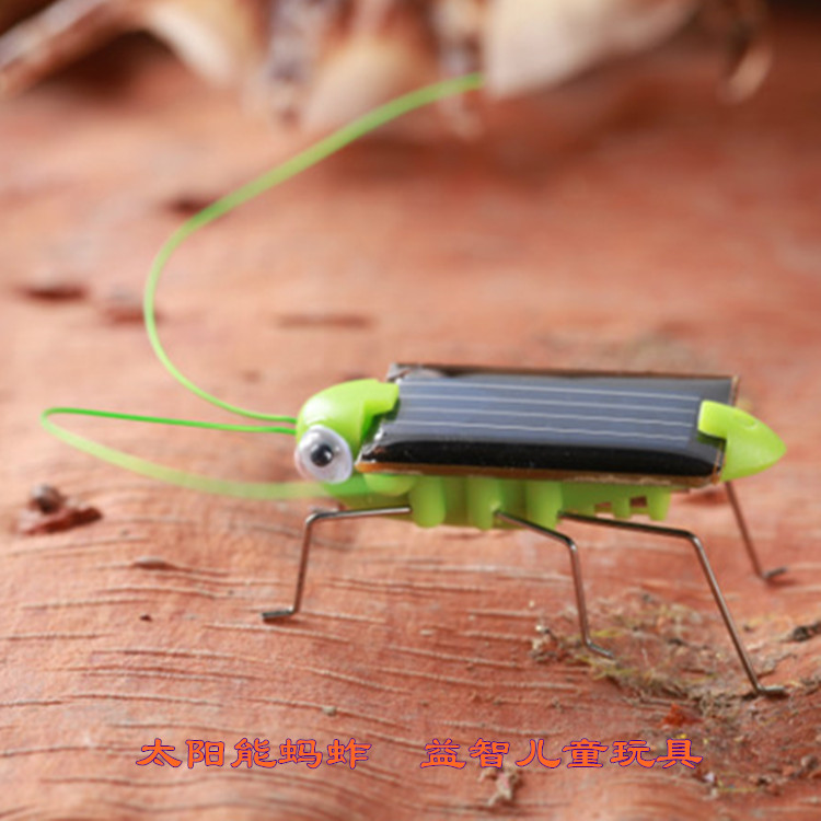solar energy Grasshopper originality Toys Locust Running outdoors science Small experiment game 1-4-7 year