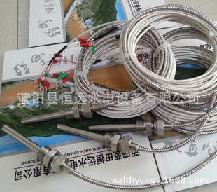 PT100ضȂWZPK-230/WZP2-200KWZP-269/223