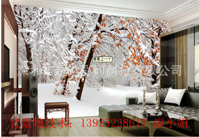 背景墙印刷效果