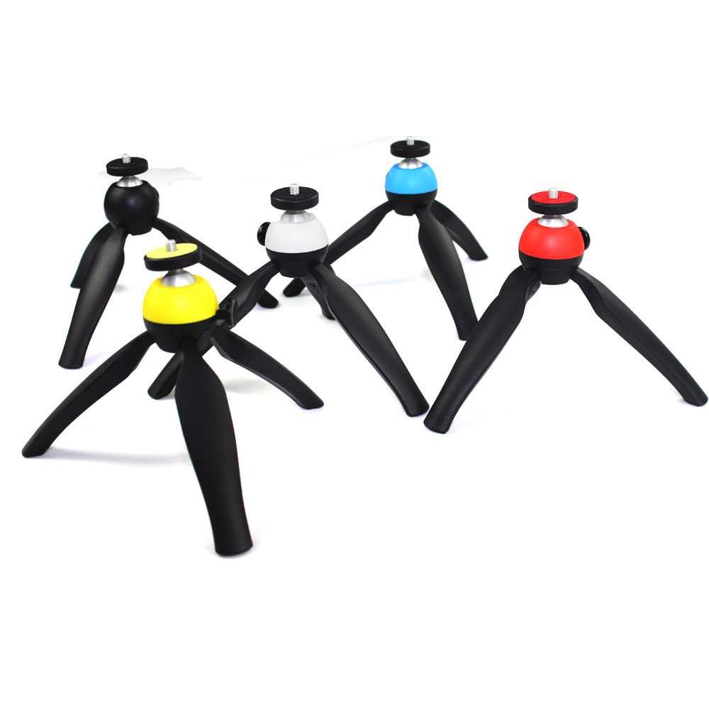 2498260039_2108336670