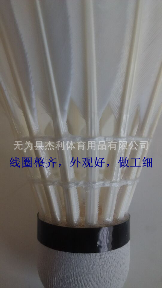 特寫7_副本